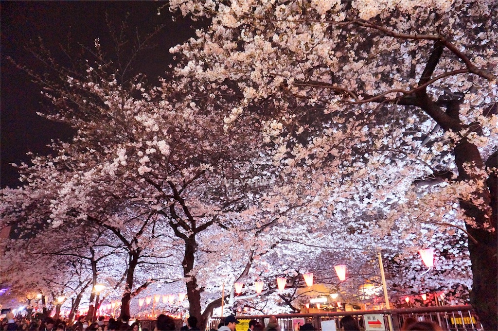 f:id:travelwz:20170406200153j:image f:id:travelwz:20170406200153j:image