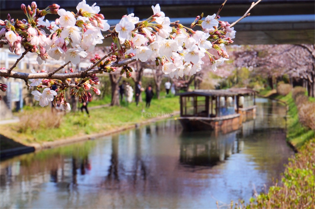 f:id:travelwz:20170409094706j:image f:id:travelwz:20170409094706j:image