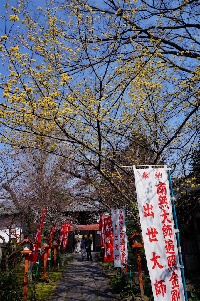 f:id:travelwz:20170410100004j:image f:id:travelwz:20170410100004j:image