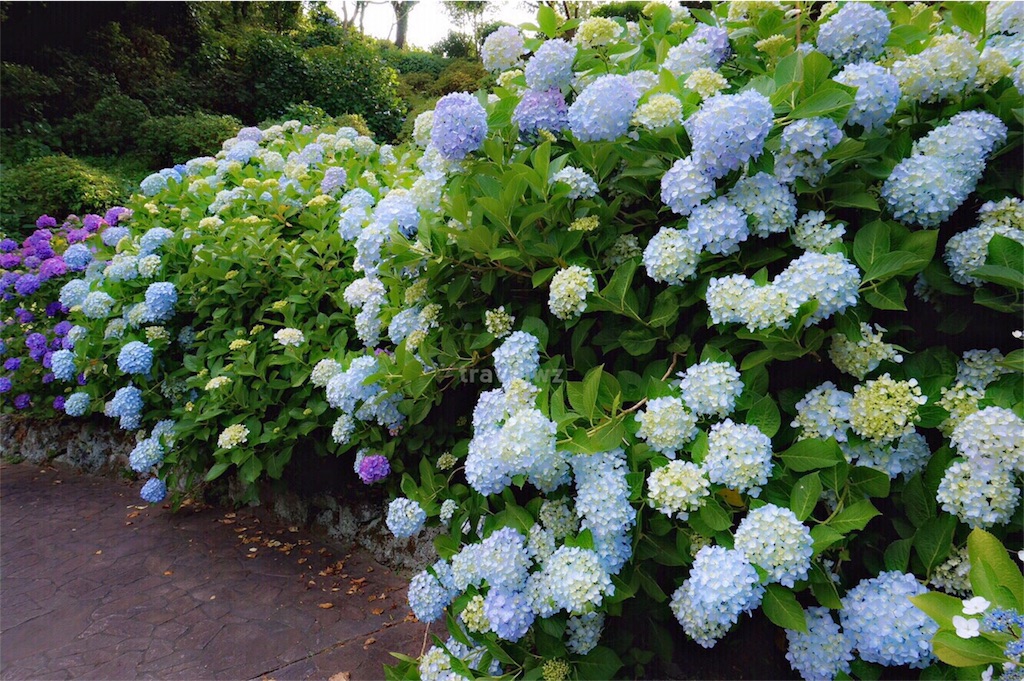 f:id:travelwz:20170616111652j:image f:id:travelwz:20170616111652j:image