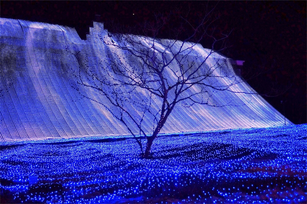 f:id:travelwz:20180117145232j:image f:id:travelwz:20180117145232j:image
