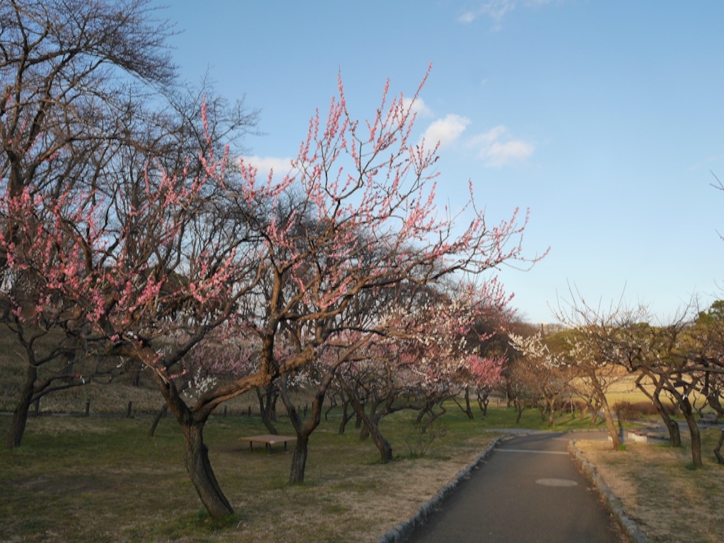 f:id:travelyokohama:20170218231250j:image