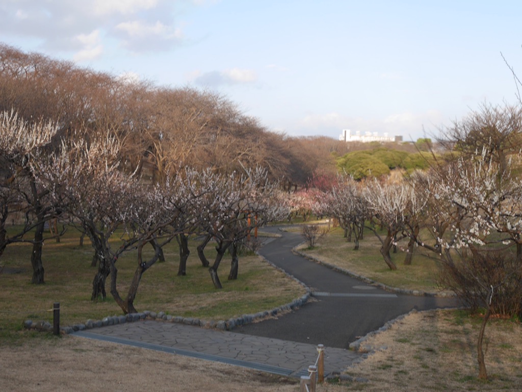 f:id:travelyokohama:20170218231347j:image f:id:travelyokohama:20170218231347j:image