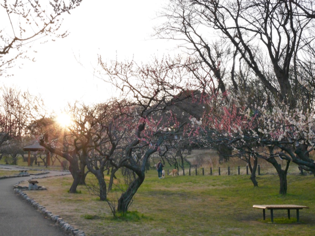 f:id:travelyokohama:20170218231410j:image f:id:travelyokohama:20170218231410j:image