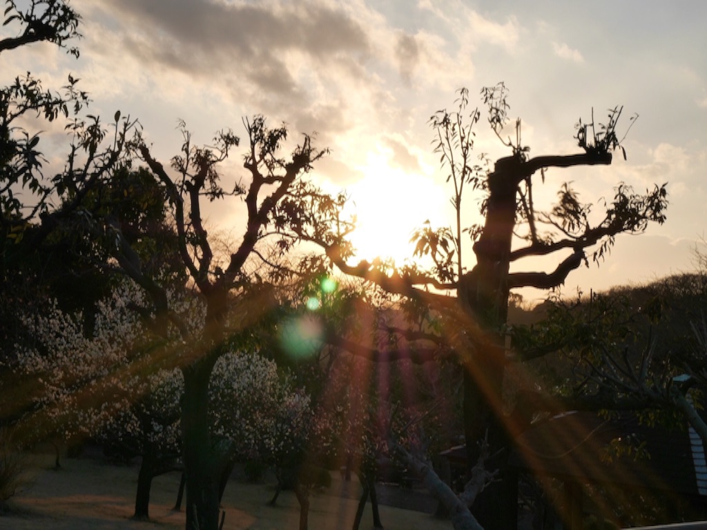 f:id:travelyokohama:20170218232213j:image f:id:travelyokohama:20170218232213j:image
