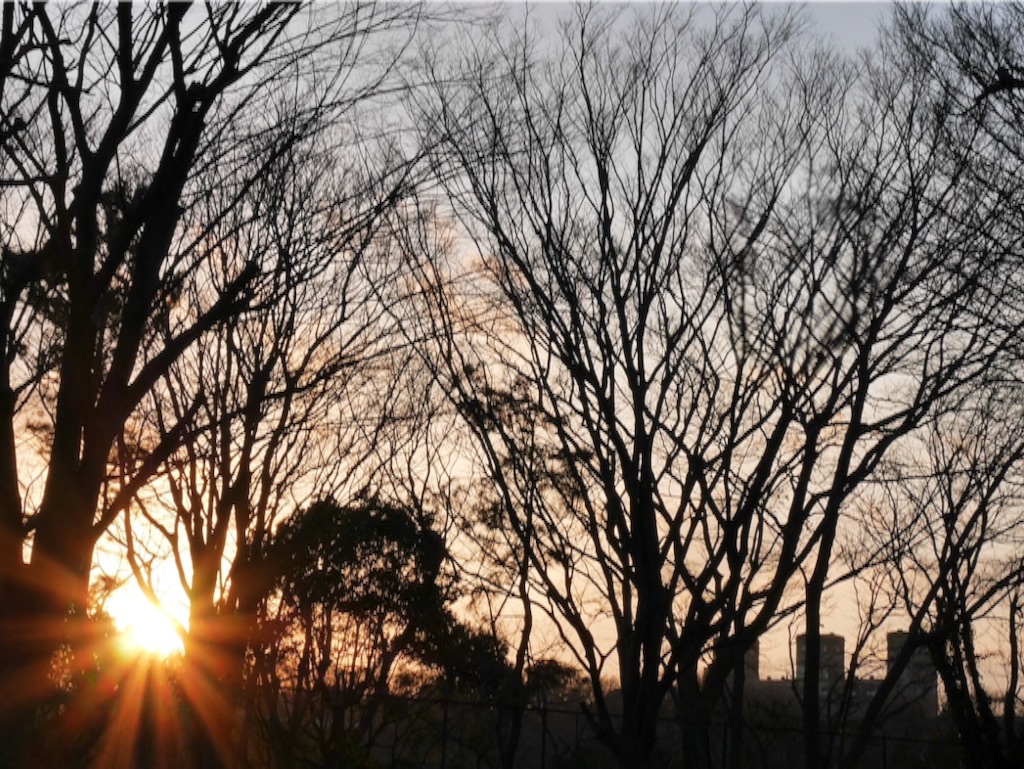 f:id:travelyokohama:20170218232300j:image f:id:travelyokohama:20170218232300j:image