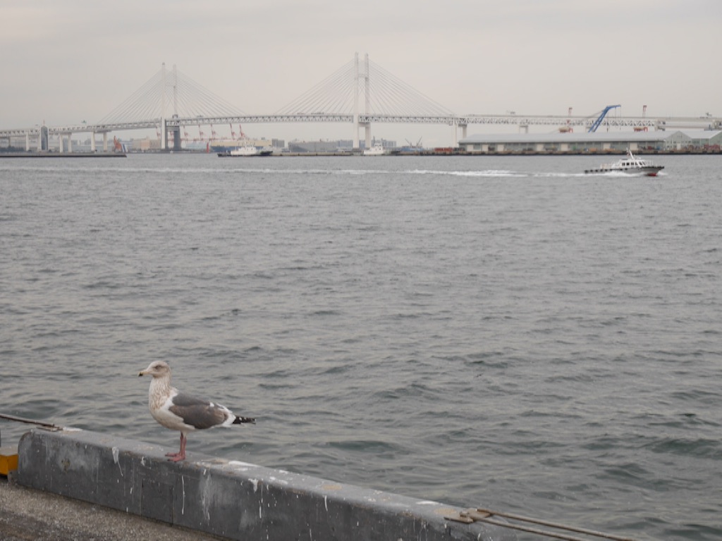 f:id:travelyokohama:20170219004647j:image f:id:travelyokohama:20170219004647j:image