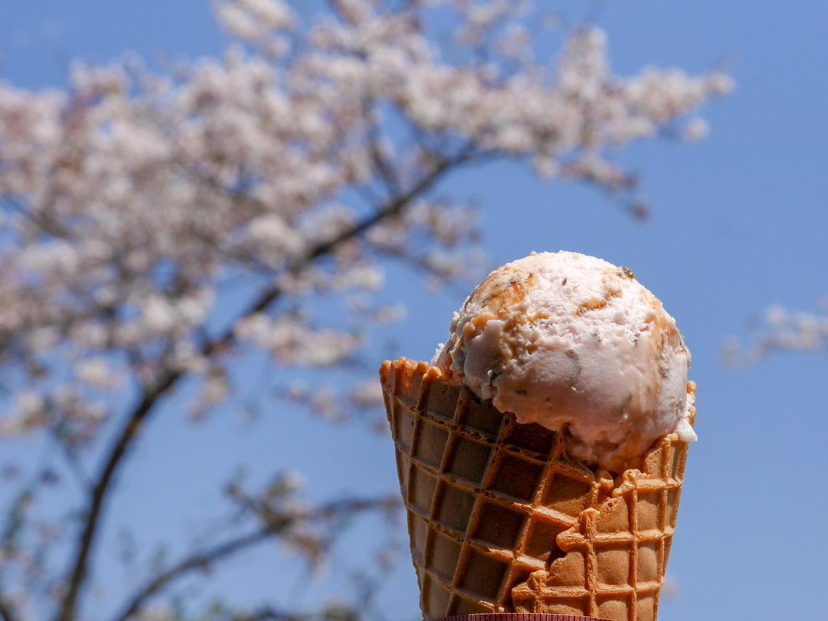 三溪園茶寮 さくらアイスクリーム（350円）