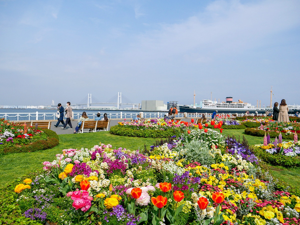 山下公園の花壇