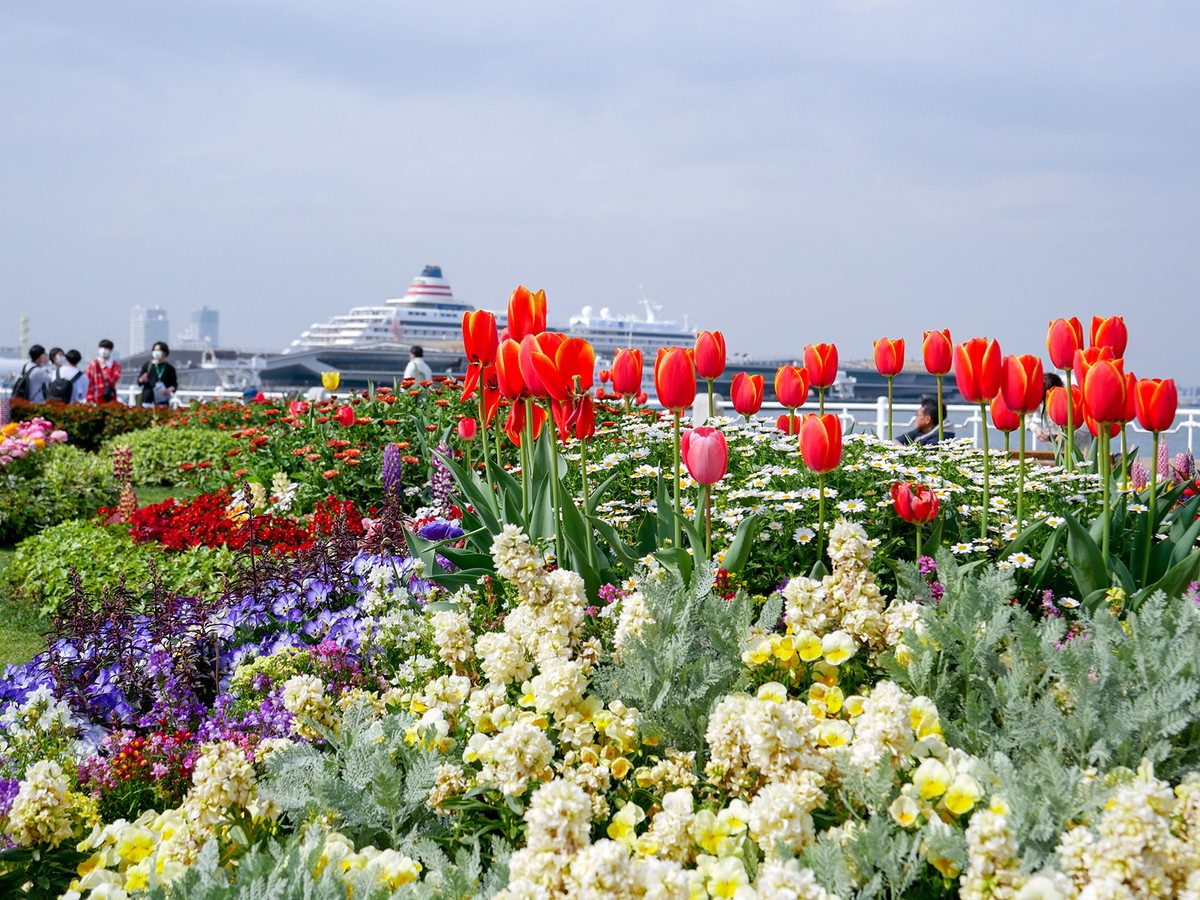 山下公園の花壇