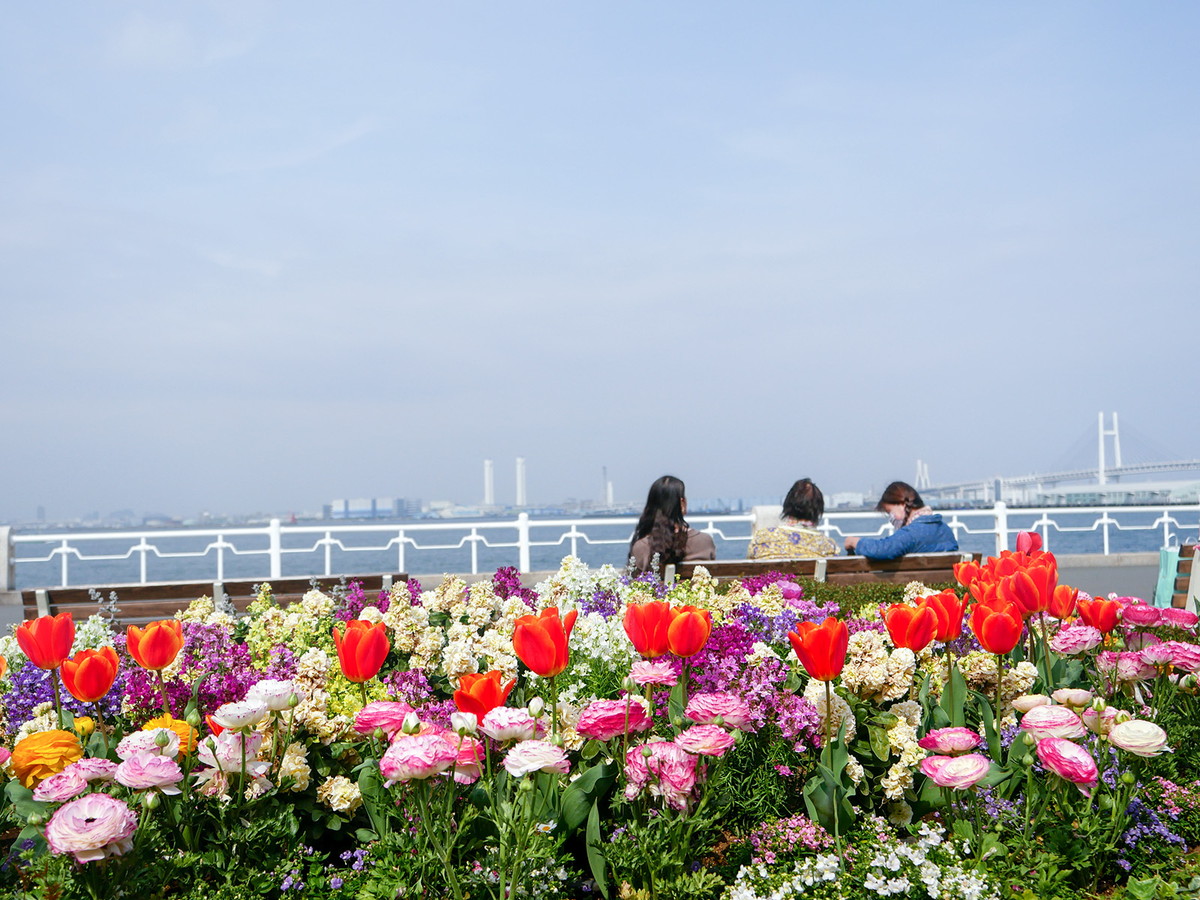 山下公園の花壇