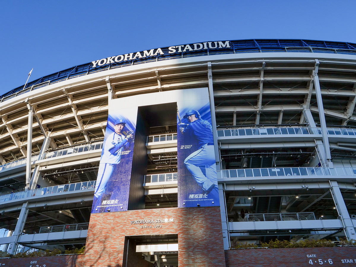 横浜スタジアムを中心に関内エリアに出没！