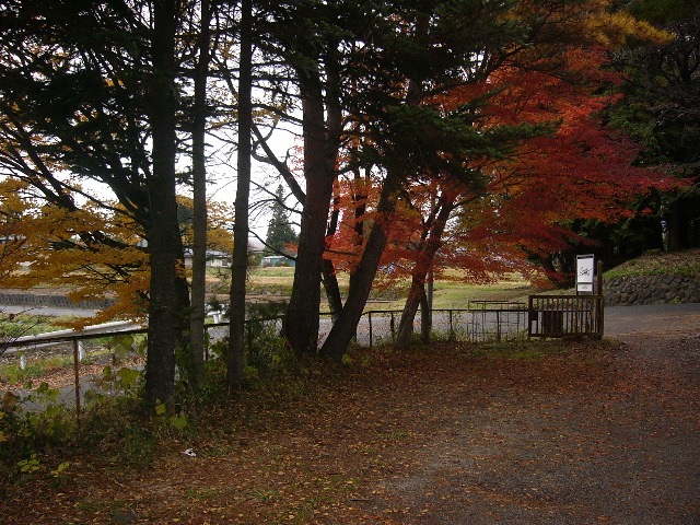 f:id:traxtrax:20081113134747j:image