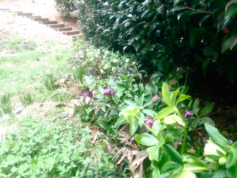 f:id:traxtrax:20120413154308j:image:w360