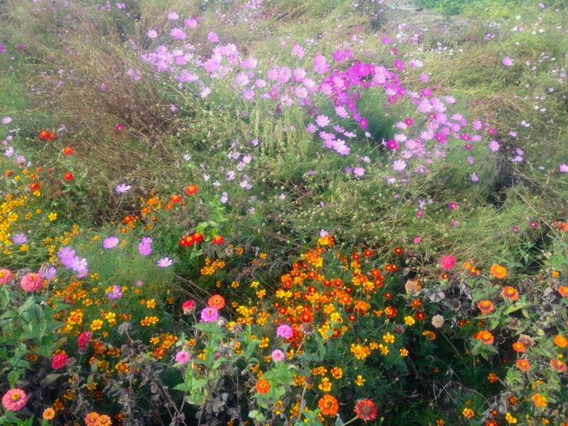 f:id:traxtrax:20121013154351j:image:w360 f:id:traxtrax:20121013154351j:image:w360