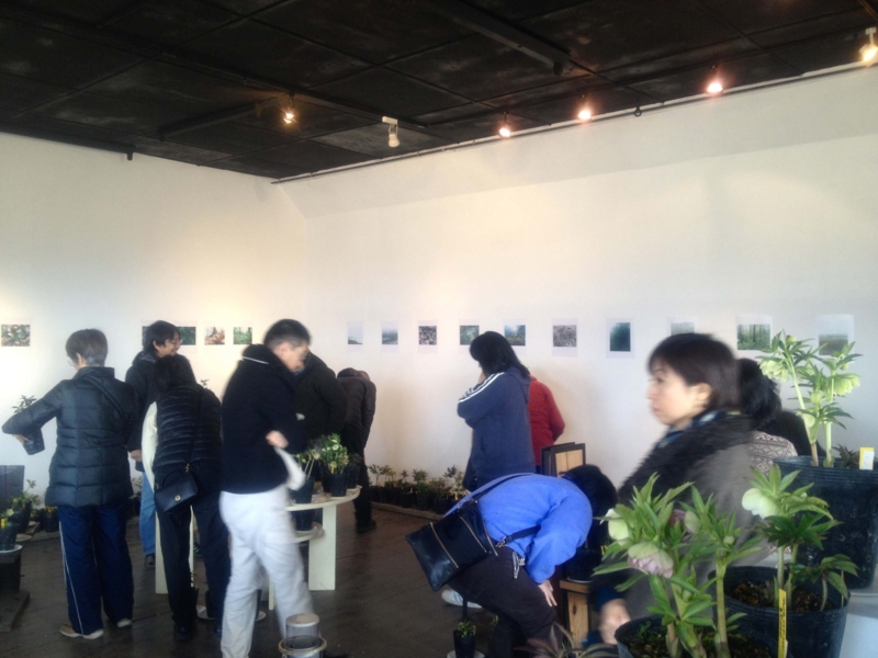 f:id:traxtrax:20130209110800j:image:w360