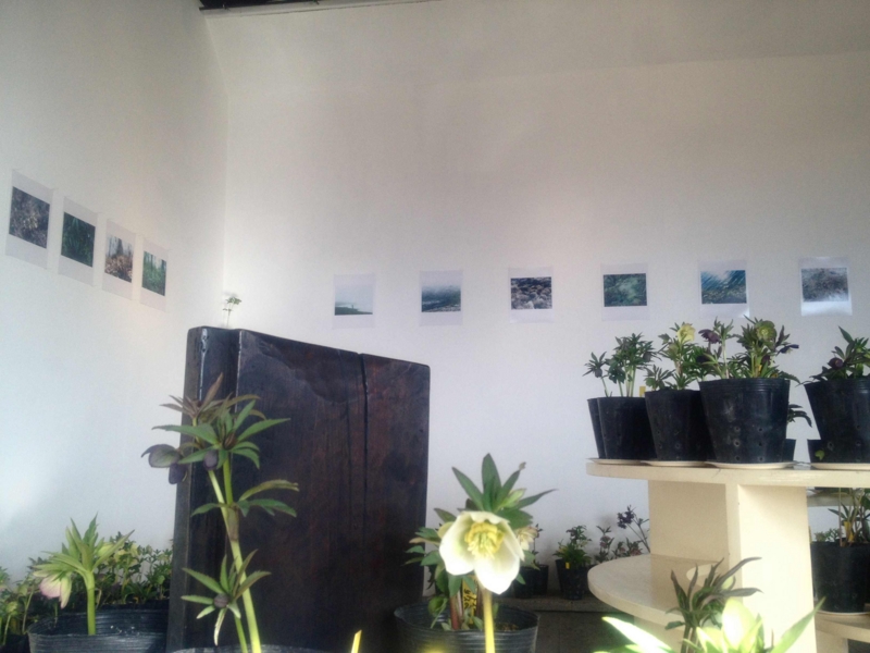 f:id:traxtrax:20130209150404j:image:w360