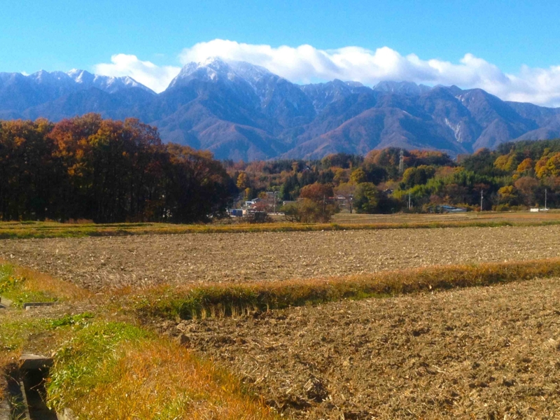 f:id:traxtrax:20131121100541j:image:w360