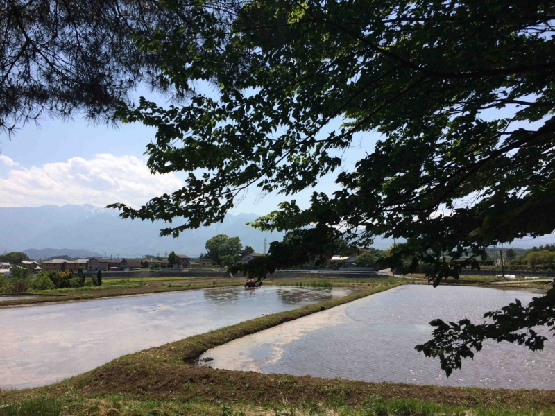 f:id:traxtrax:20150510134152j:image:w360