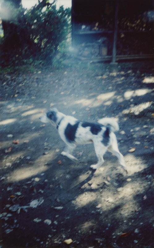 f:id:traxtrax:20171110211434j:image:w360