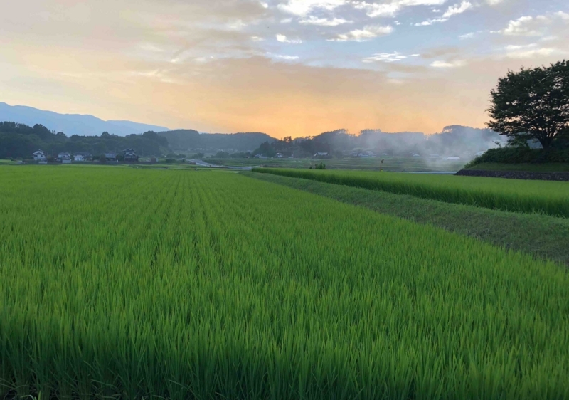 f:id:traxtrax:20180727184418j:image:w500