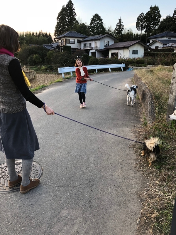 f:id:traxtrax:20181023162612j:image:w360