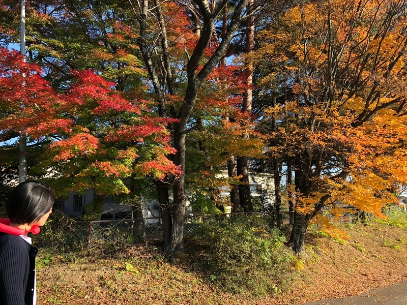 f:id:traxtrax:20181111143107j:image:w360