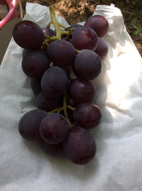 f:id:treasureboxes:20170929082652j:plain