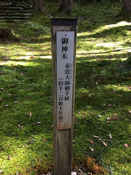 f:id:treasureboxes:20181119001310j:plain f:id:treasureboxes:20181119001310j:plain
