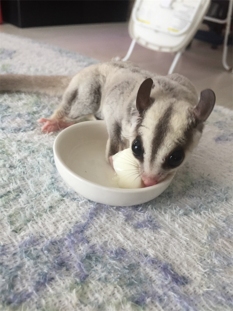 f:id:trebor77:20180627180340j:image