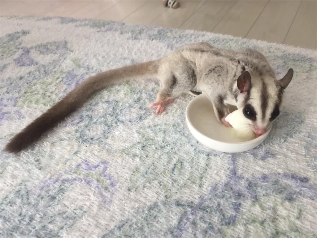 f:id:trebor77:20180627180349j:image