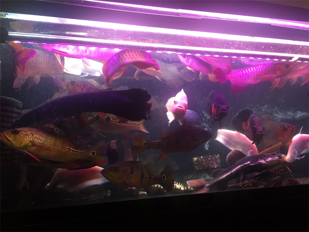 f:id:trebor77:20180805191707j:image f:id:trebor77:20180805191707j:image