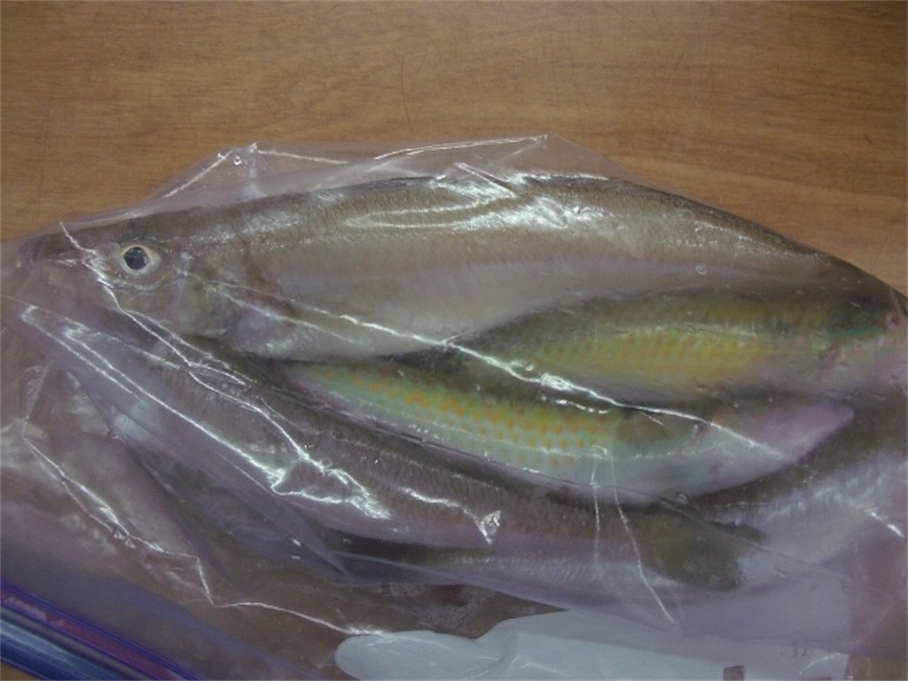 f:id:trebor77:20180805193012j:image f:id:trebor77:20180805193012j:image