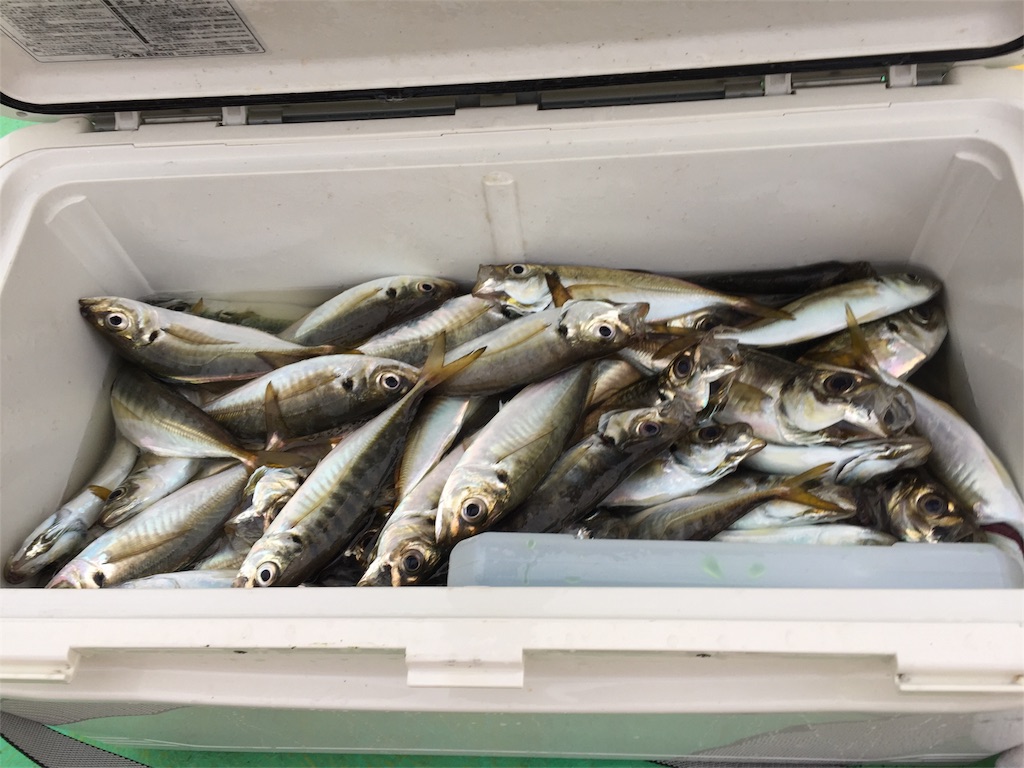 f:id:trebor77:20180814104610j:image