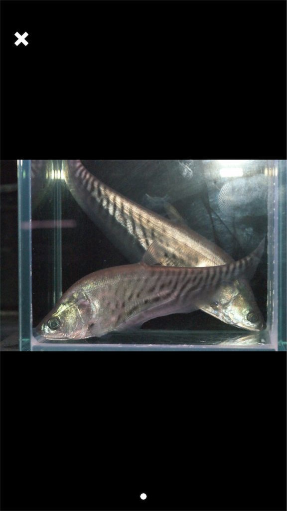 f:id:trebor77:20180910080008p:image