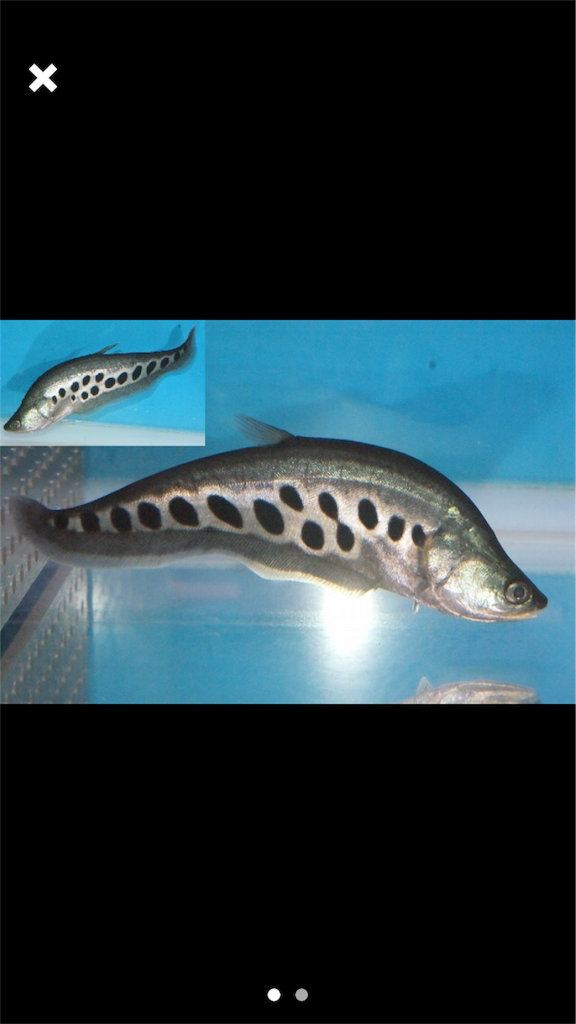 f:id:trebor77:20180910080038p:image