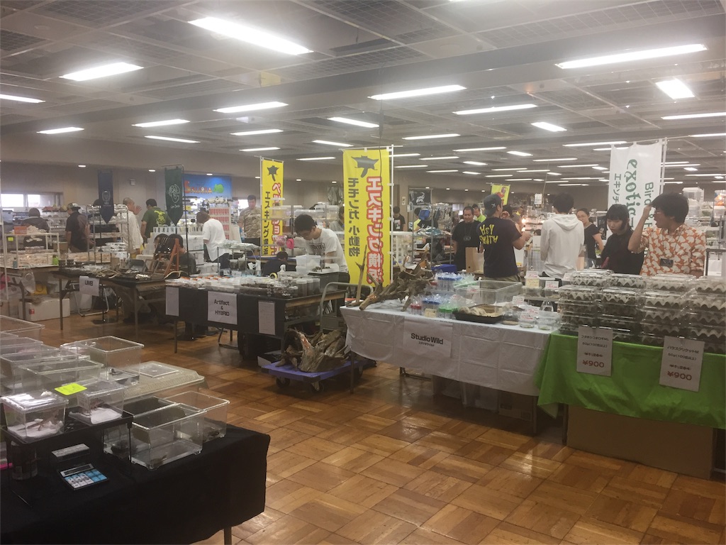 f:id:trebor77:20180916145604j:image