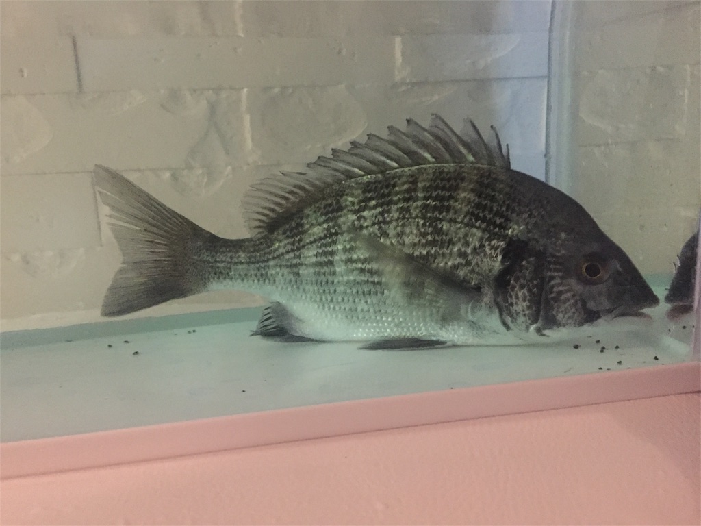 f:id:trebor77:20181014152453j:image