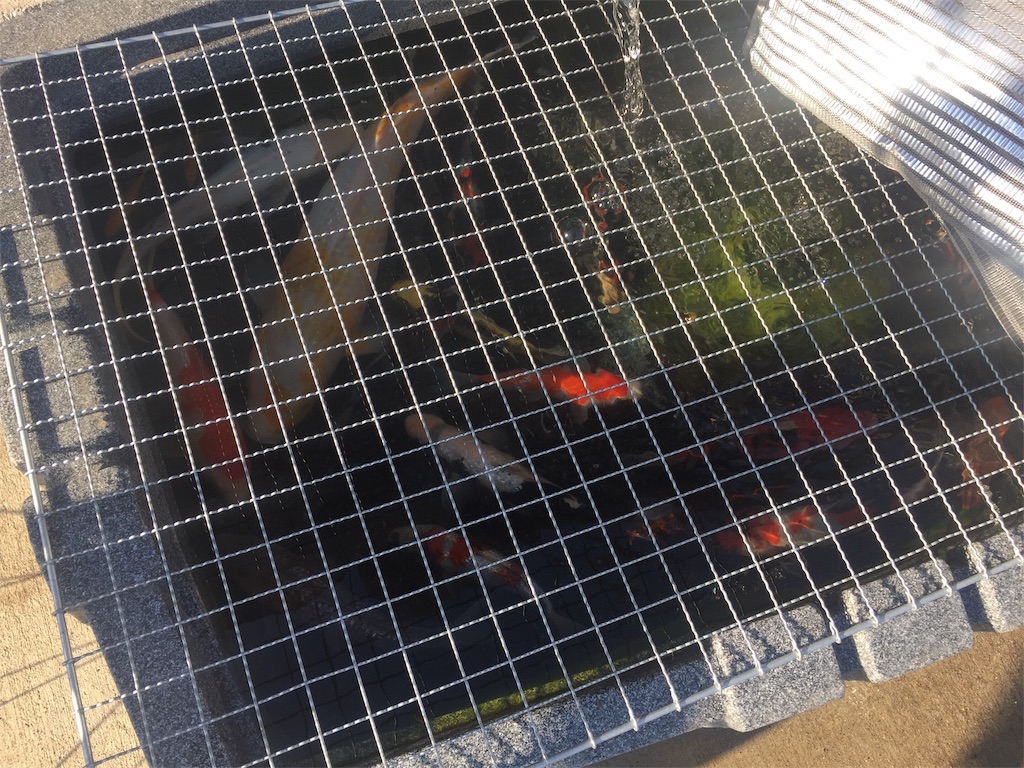 f:id:trebor77:20190413161017j:image