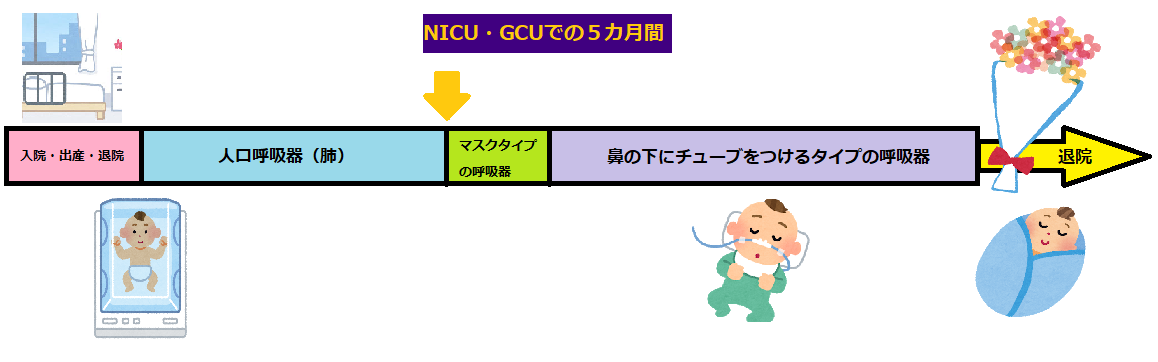 f:id:tree-and-root:20210830214750p:plain