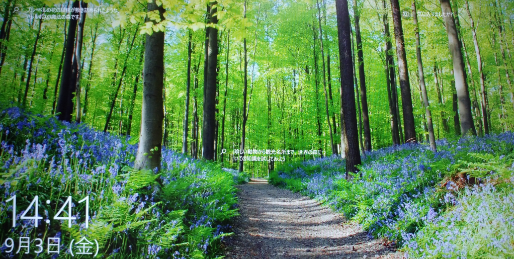 f:id:treedown:20210906160729p:plain