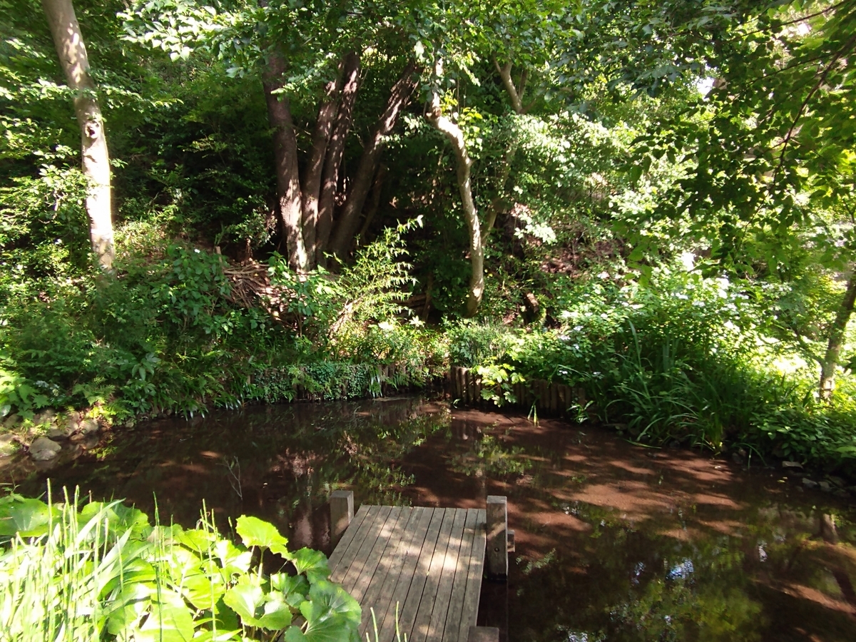 ホタルに住んでもらう候補地づくり - 自然と共に生きる♪毎日が宝物☆
