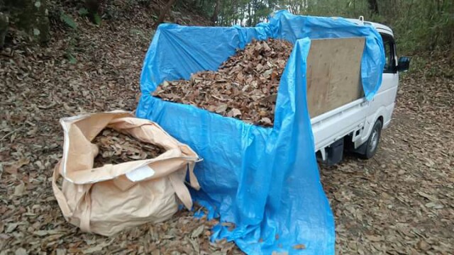 f:id:treetreefield:20180301124017j:image f:id:treetreefield:20180301124017j:image