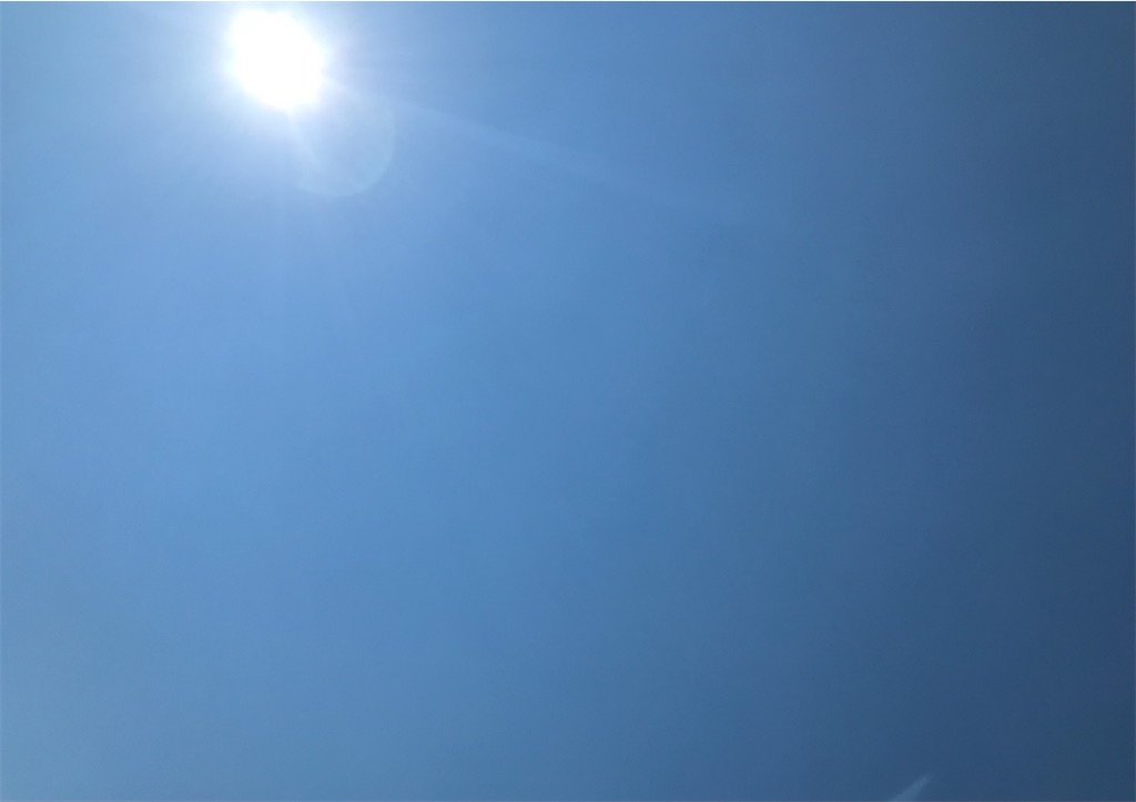 f:id:treetreeshain:20220701115021j:image