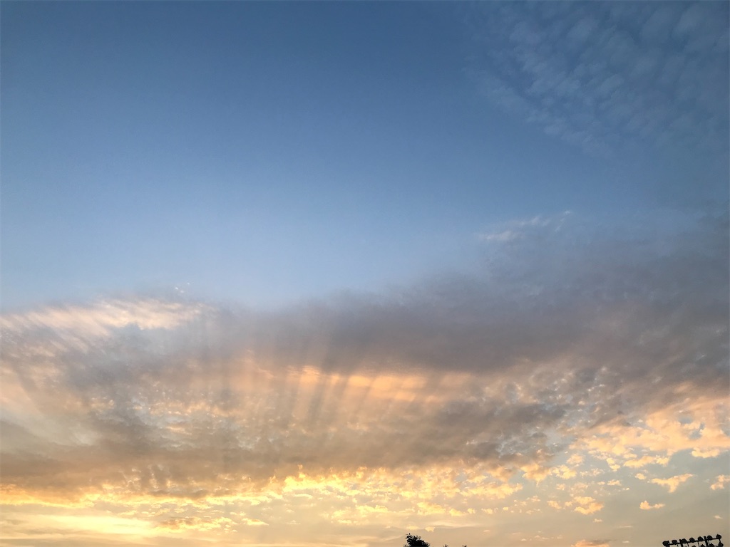 f:id:treetreeshain:20220729154428j:image