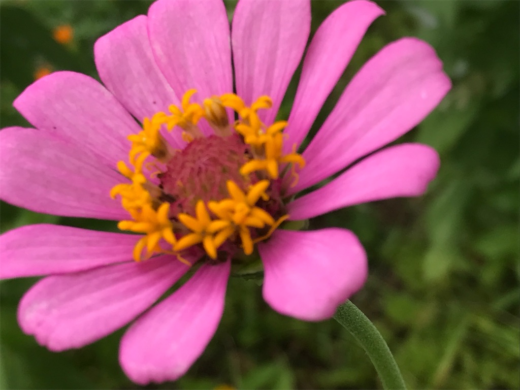 f:id:treetreeshain:20220830093823j:image