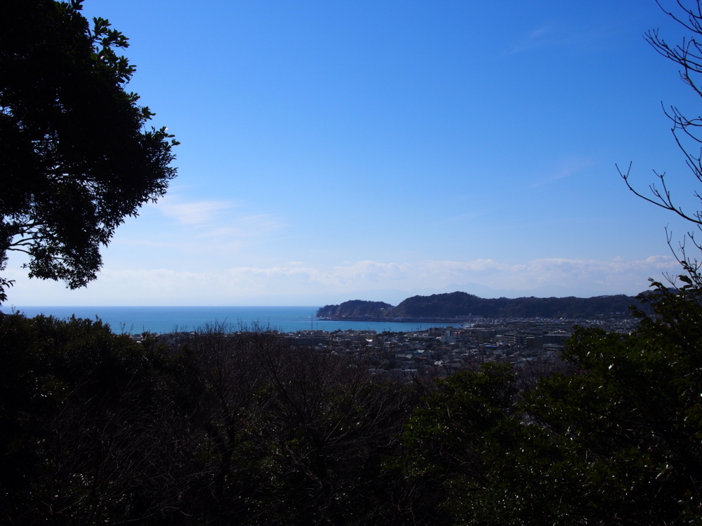 f:id:treetrip:20180126083619j:plain f:id:treetrip:20180126083619j:plain