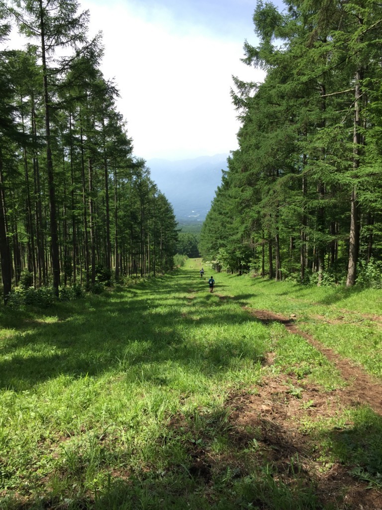 f:id:trek5200:20170611093542j:plain f:id:trek5200:20170611093542j:plain