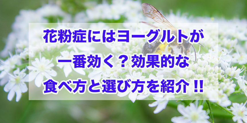 f:id:trend_marketter_eno:20180204220400p:plain f:id:trend_marketter_eno:20180204220400p:plain