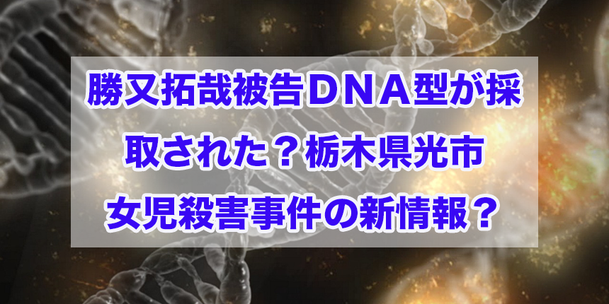 f:id:trend_marketter_eno:20180301013004p:plain f:id:trend_marketter_eno:20180301013004p:plain